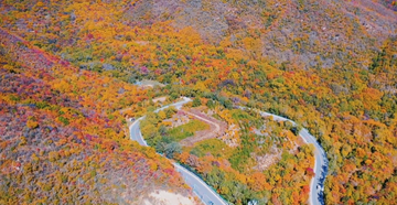 松闫路