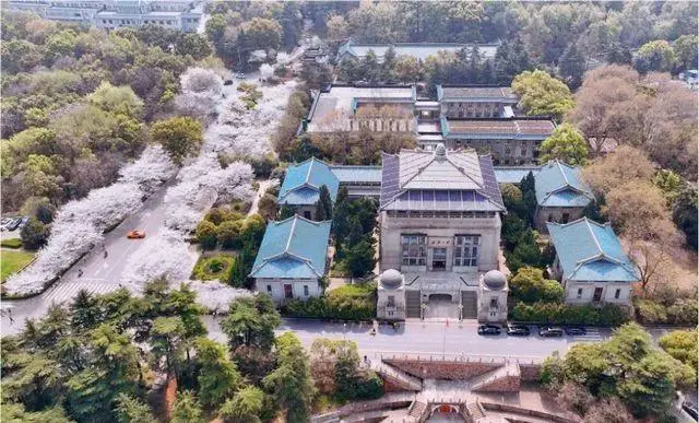 副部级大学