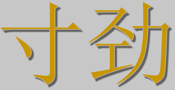 寸劲