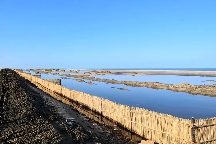 尼罗河三角洲