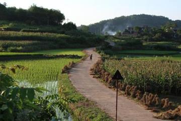 邵阳村-邵阳村