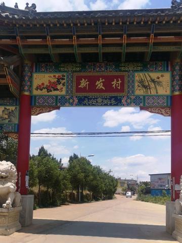 新发村-云南省曲靖市陆良县芳华镇新发村