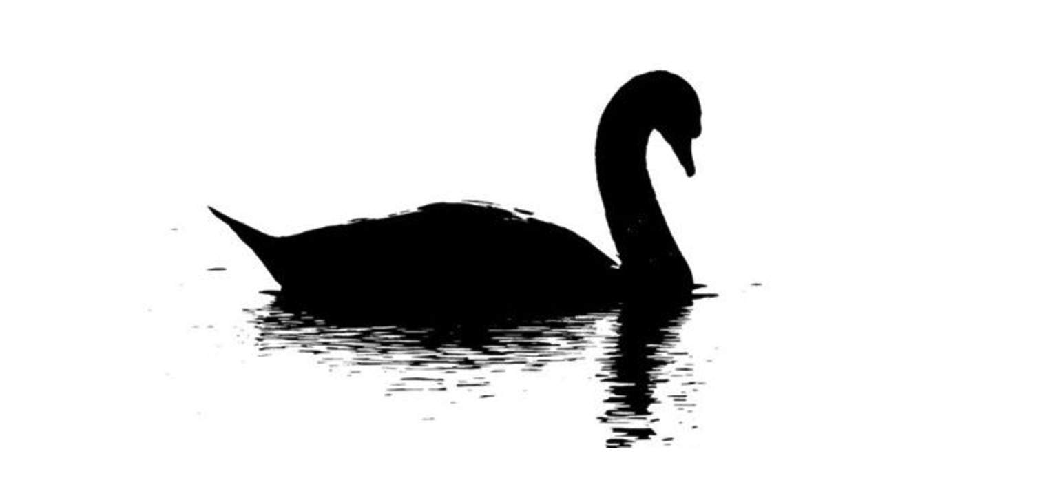 黑天鹅事件- 抖音百科