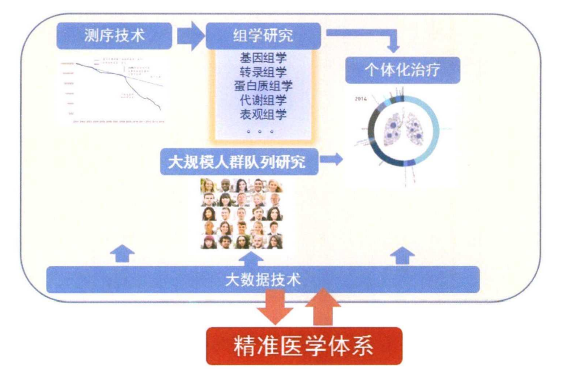 精准医学- 抖音百科