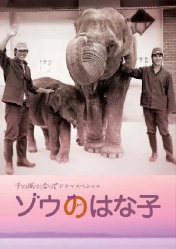 大象花子-河野圭太执导电影