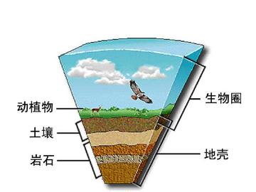 生物圈-地球上最大的生态系统