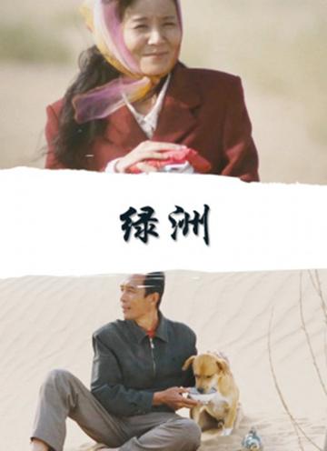绿洲-2010年梅新执导电影