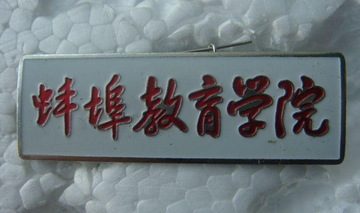 蚌埠教育学院