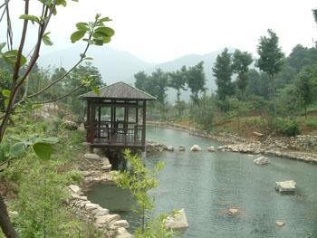 网岙景区-网岙景区