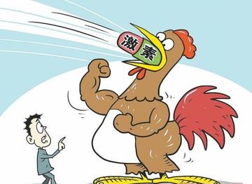 速成鸡
