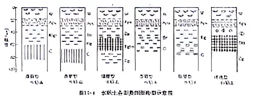 水稻土