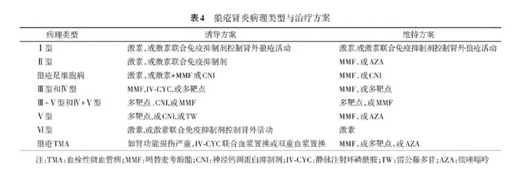 狼疮性肾炎