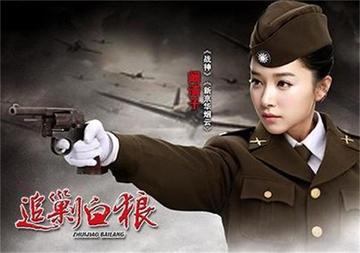 追剿白狼-2014年阚清子主演的谍战剧