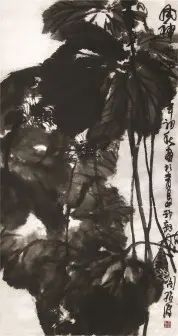 王绍波