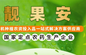 靓果安