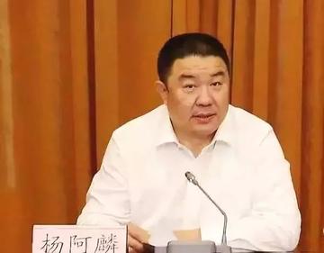 杨阿麟-内蒙古自治区农村信用社联合社原理事长