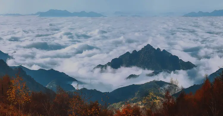 农夫山泉股份有限公司