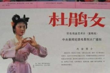 杜鹃女-1984年沙丹执导的电影