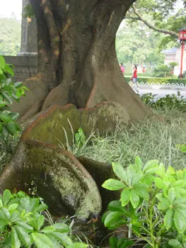 中山纪念堂