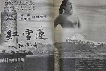 红雪莲-获第五届柳青文学奖长篇小说奖