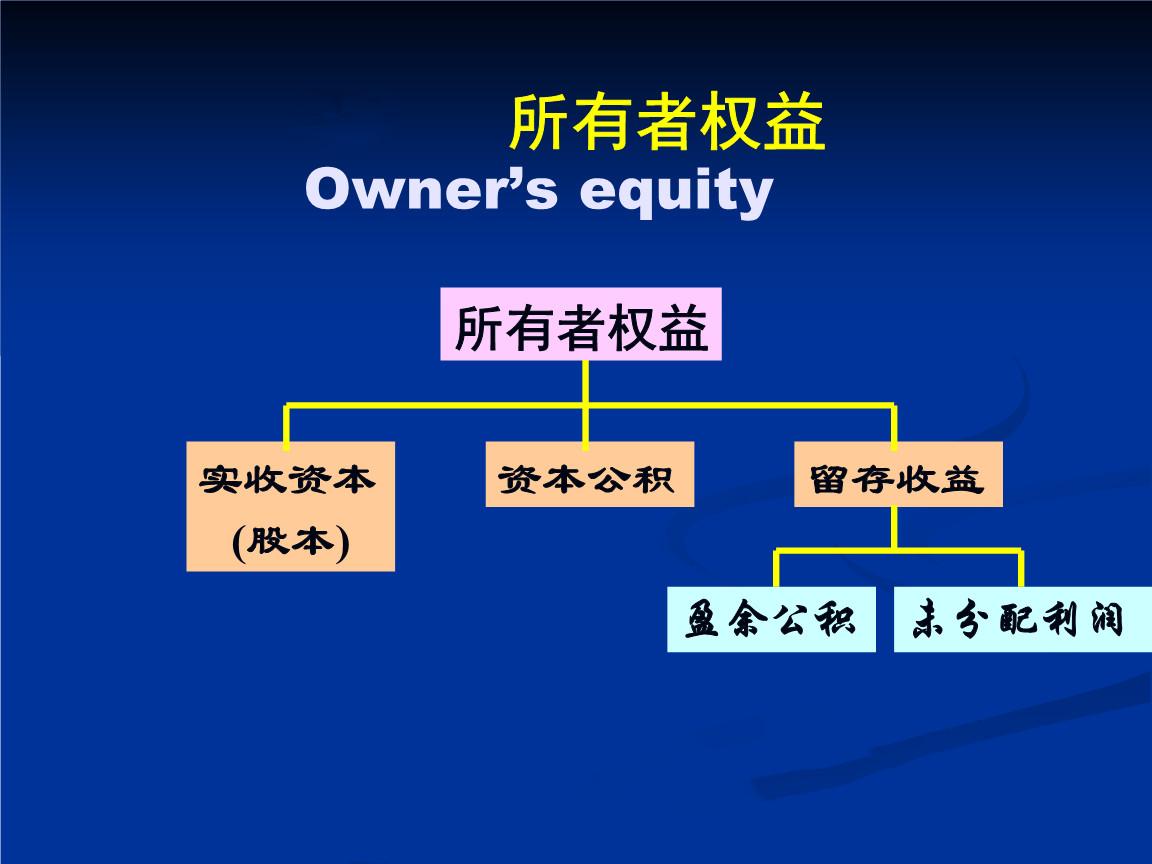 所有者权益- 抖音百科