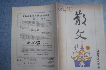 散文