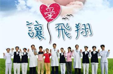 让爱飞翔-2011年伊正主演的电视剧