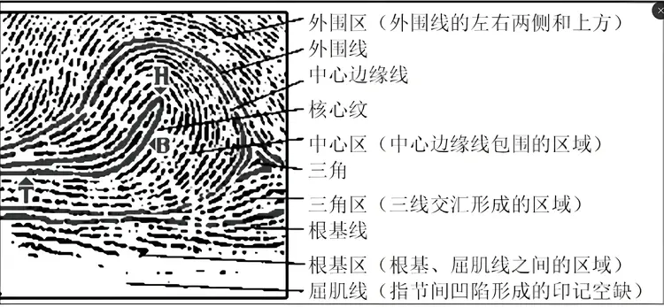 指纹