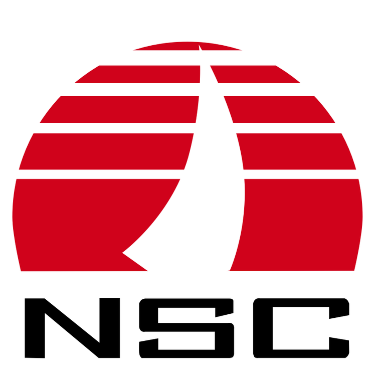 Analysis of the Impact of ST Nuotai's Financial Fraud Incident on Nanjing Securities