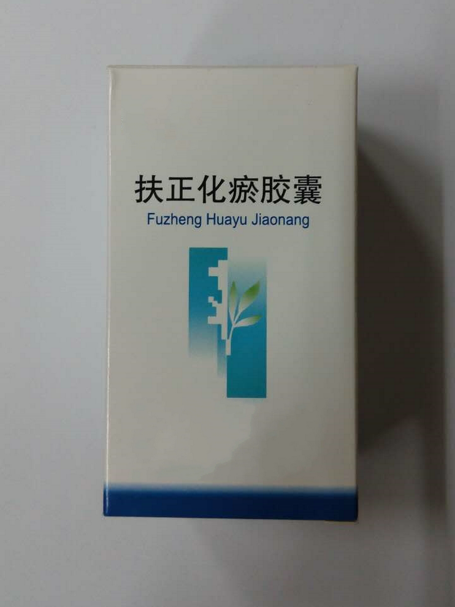 扶正化瘀胶囊-扶正化瘀胶囊