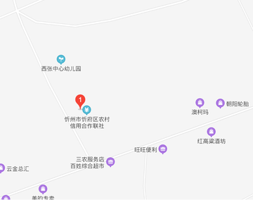 西张村-山西省忻州市忻府区西张乡下辖村