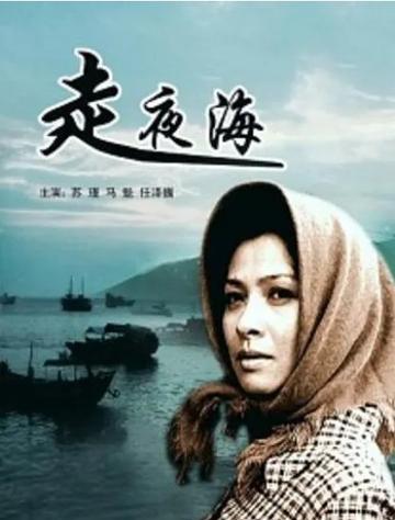 走夜海-孙成执导的剧情片
