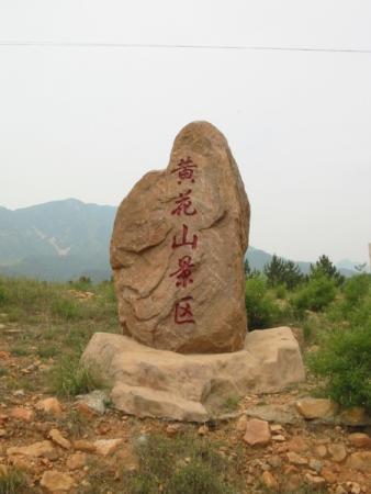 梦境中的奇异之旅，梦见死人抬着我去埋葬，而这是我自愿的