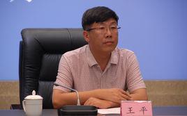 王平-原四川省国土资源厅副厅长