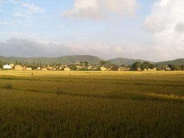 越州屯村-越州屯村