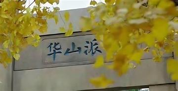 华山派