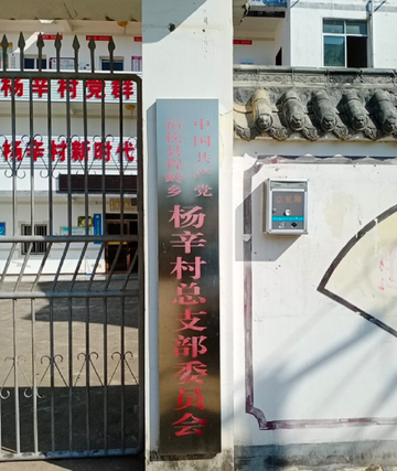 杨辛村