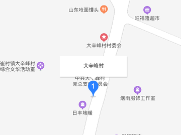 大辛峰村