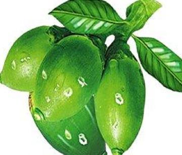 槟榔族