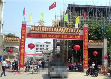 龙潮村-广东省湛江市经济技术开发区