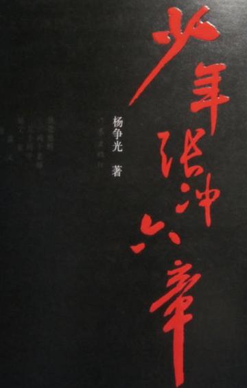 少年张冲六章-少年张冲六章