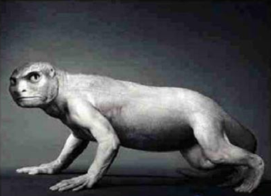 海猿 海猿（系列） — The Movie Database (TMDB)