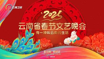 2025年云南省春节文艺晚会