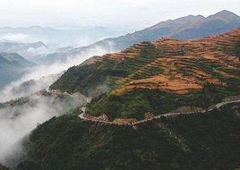 文明村-浙江温州市鹿城区岙底乡下辖村