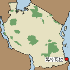 姆特瓦拉-坦桑尼亚姆特瓦拉行政区首府