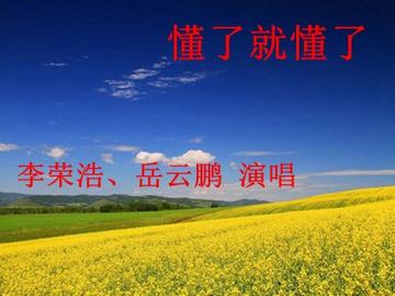 懂了就懂了-李荣浩、岳云鹏演唱的歌曲