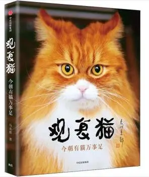 马未都