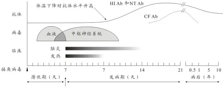 流行性乙型脑炎病毒