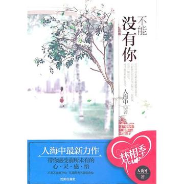 不能没有你-2011年人海中所著的小说