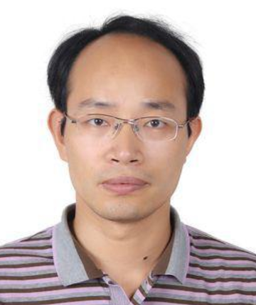 张伟平-同济大学教授